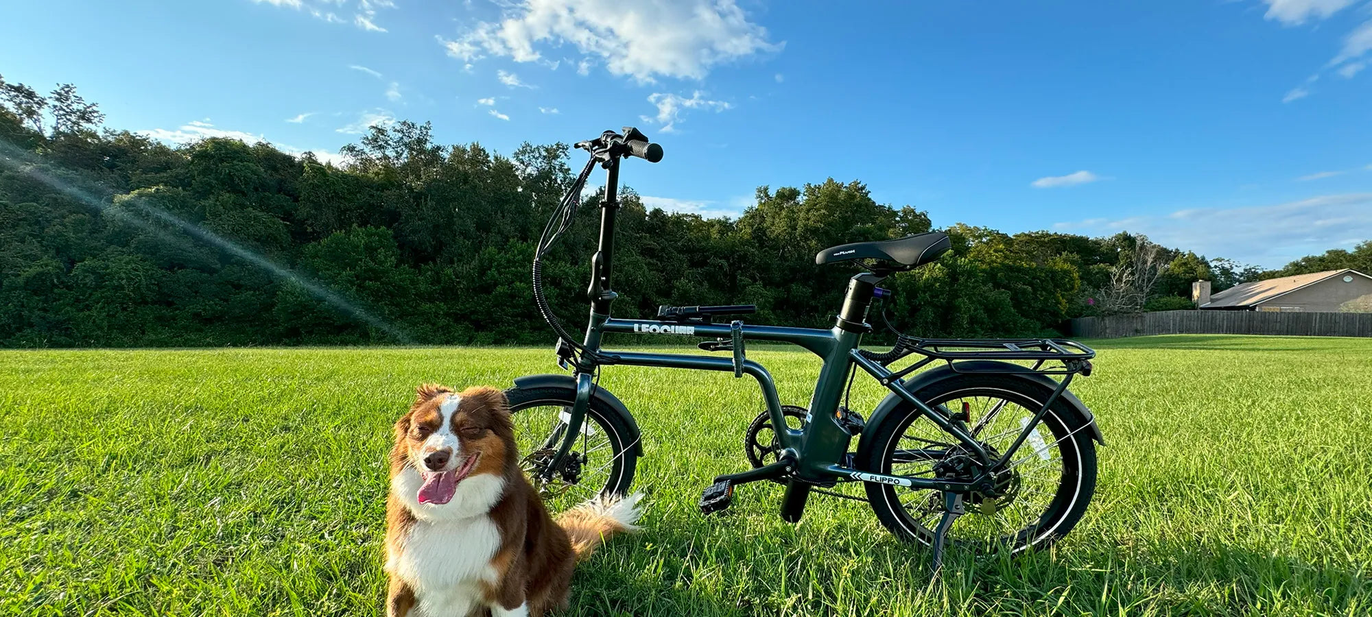 Leoguar electric bike