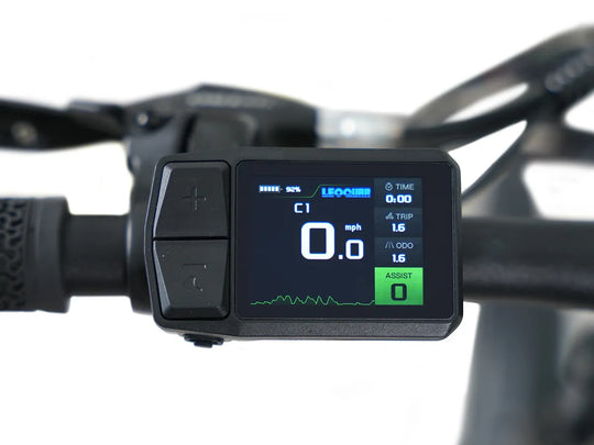 Leoguar All-Terrain eBike Display