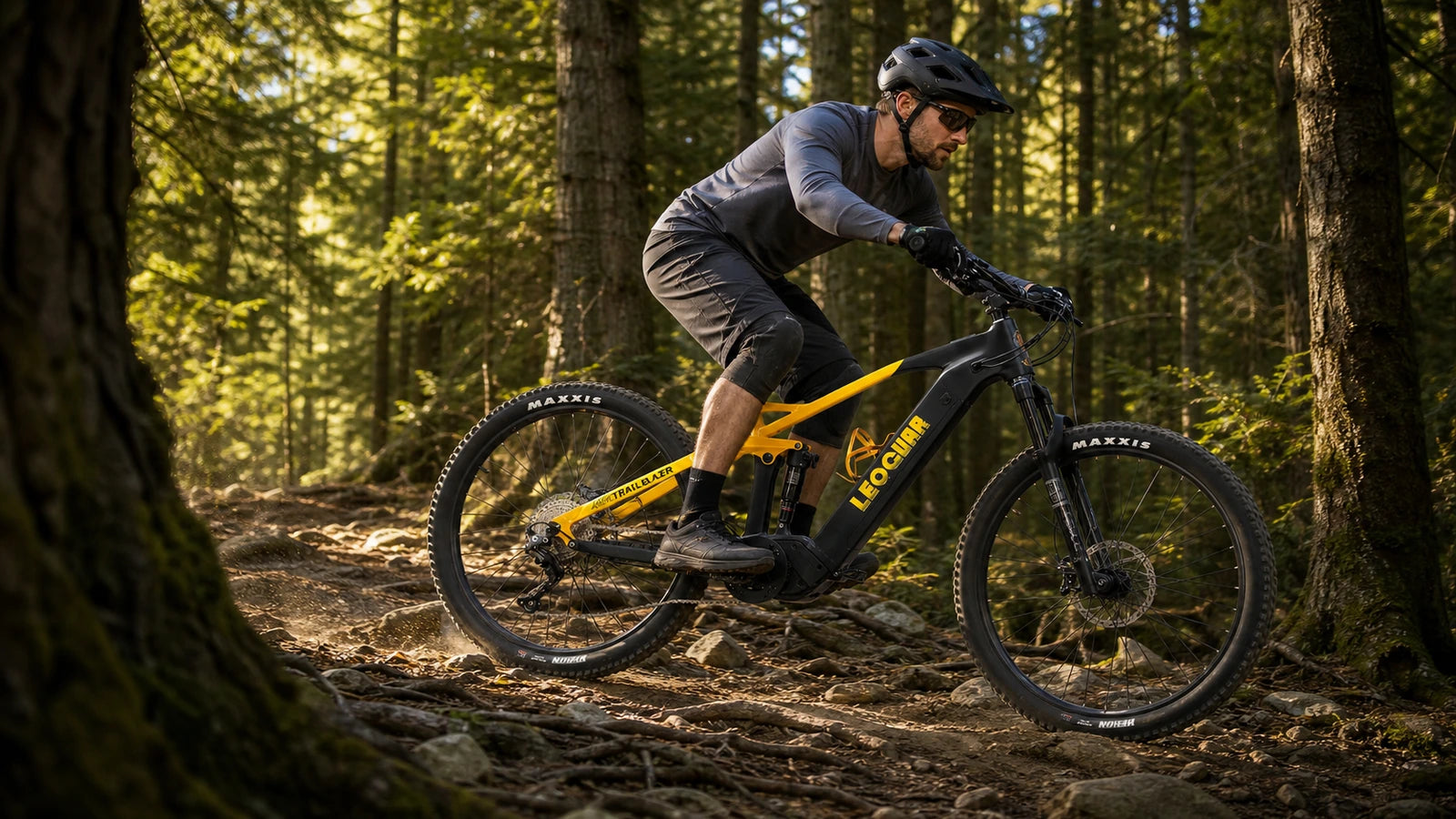 Leoguar Ebikes