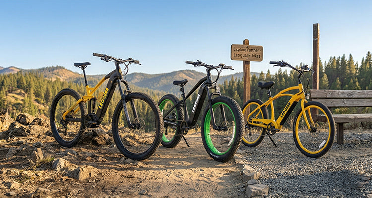 Leoguar Ebikes