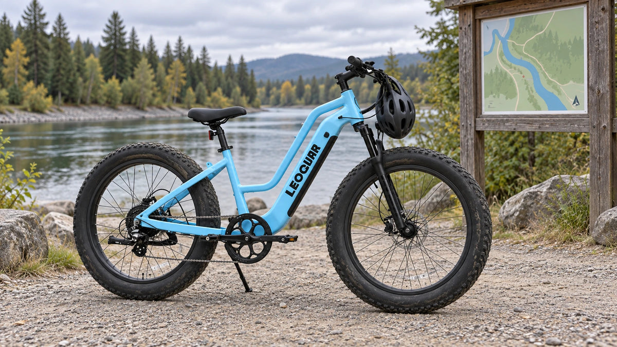 Leoguar Ebikes