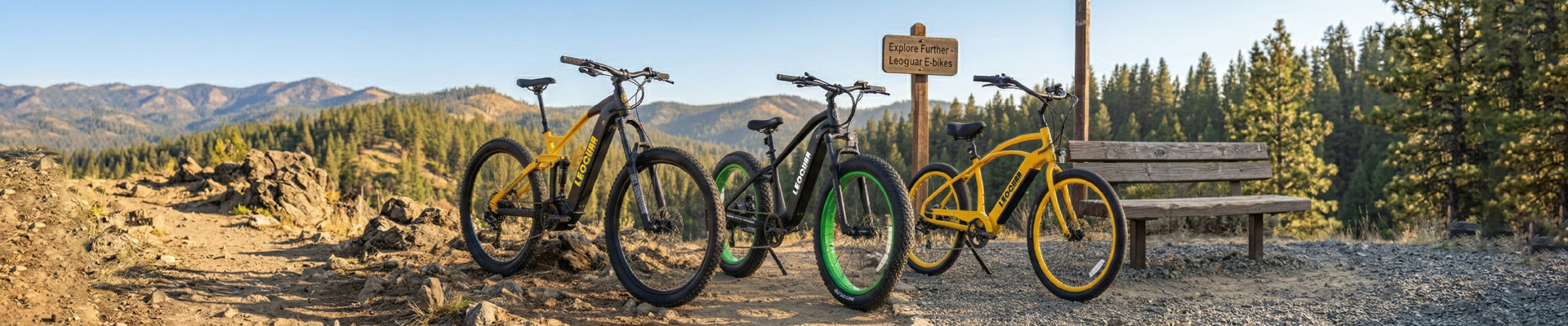 Leoguar Ebikes