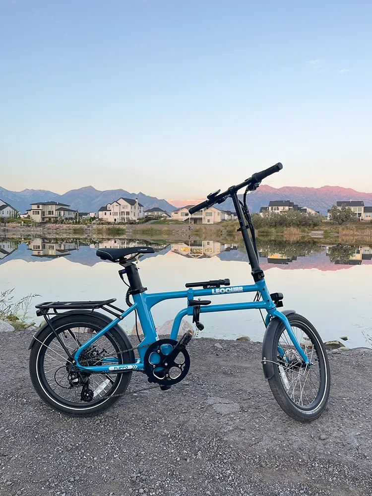 Leoguar electric bike