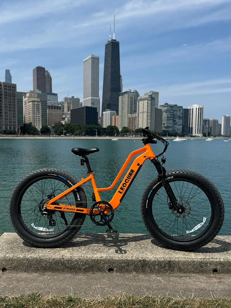 Leoguar electric bike