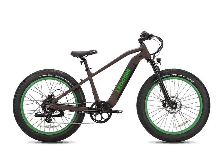 Fastron SO Fat Tire Ebike