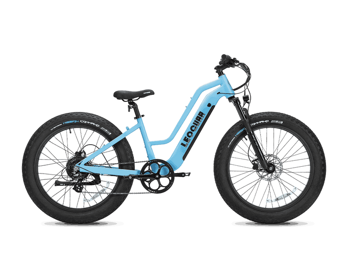 Fastron  ST Fat Tire Ebike