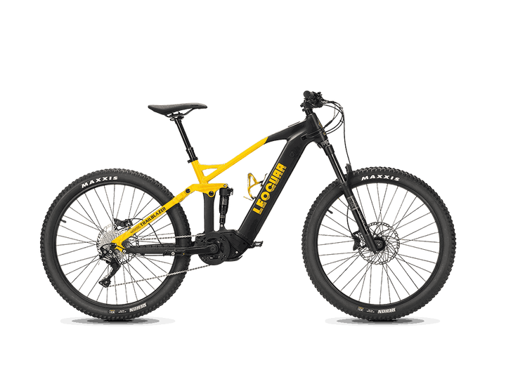 Trailblazer Mid-drive Motor EMTB