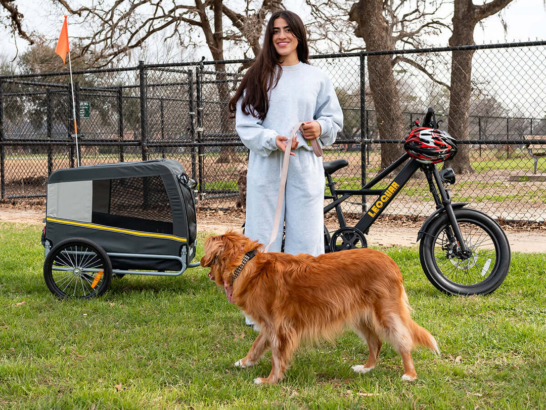Fat tire ebike with pet trailer in park