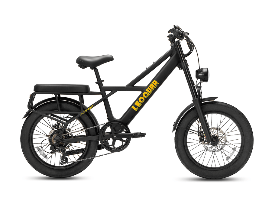 Sprint Fat Tire Utility Ebike