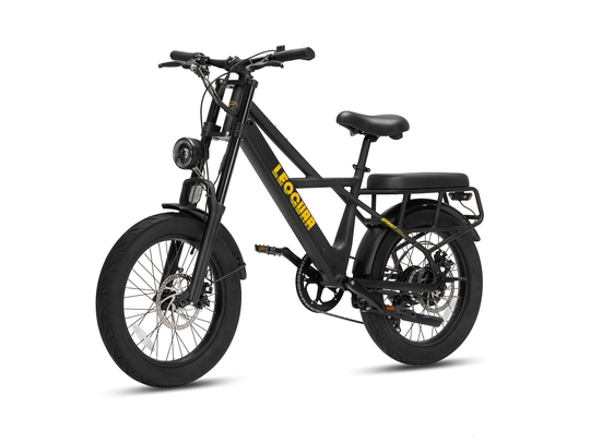 Sprint Fat Tire Utility Ebike