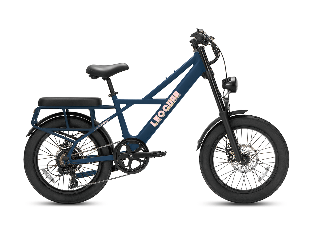 Sprint Fat Tire Utility Ebike
