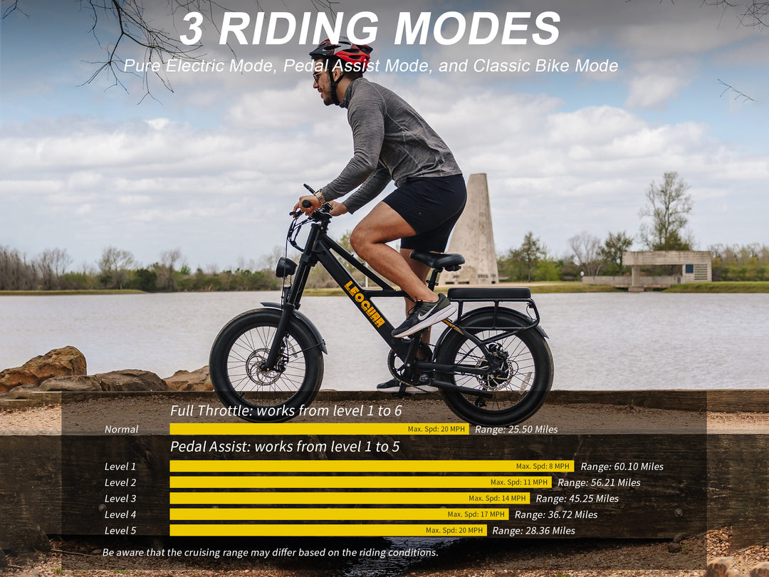 Sprint Fat Tire Utility Ebike