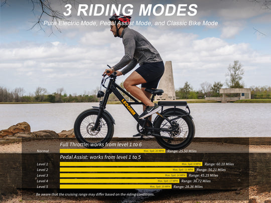 Sprint Fat Tire Utility Ebike