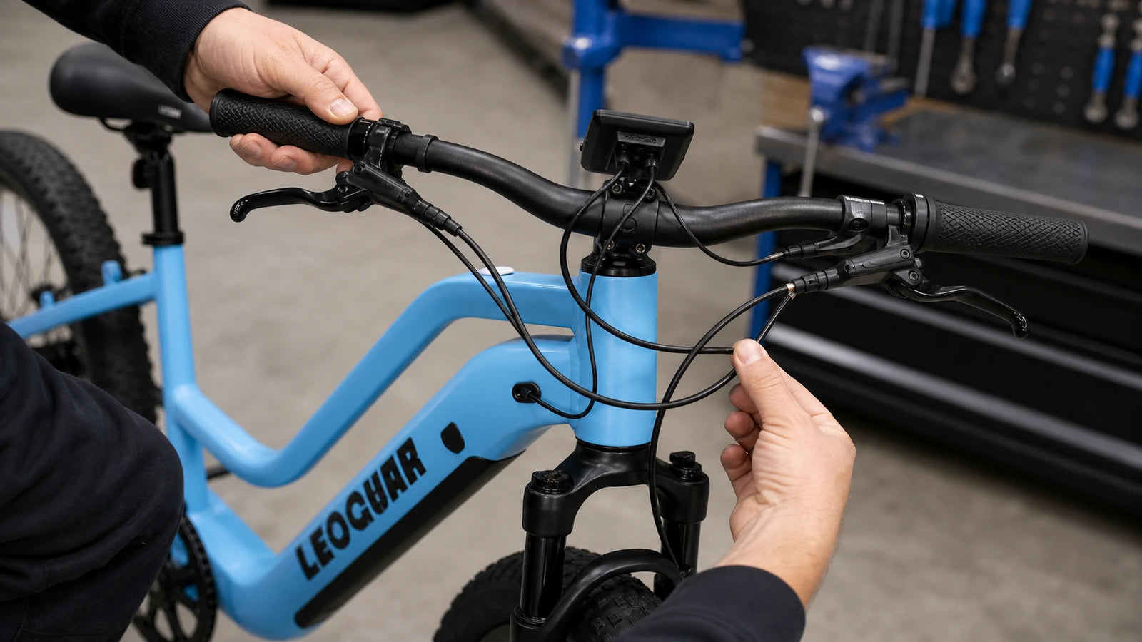 Leoguar Ebikes