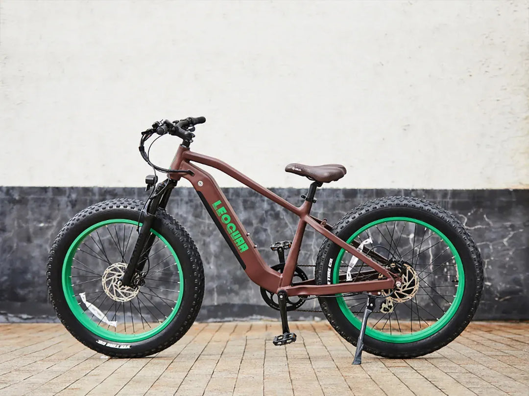 Fathawk SO Fat Tire Ebike