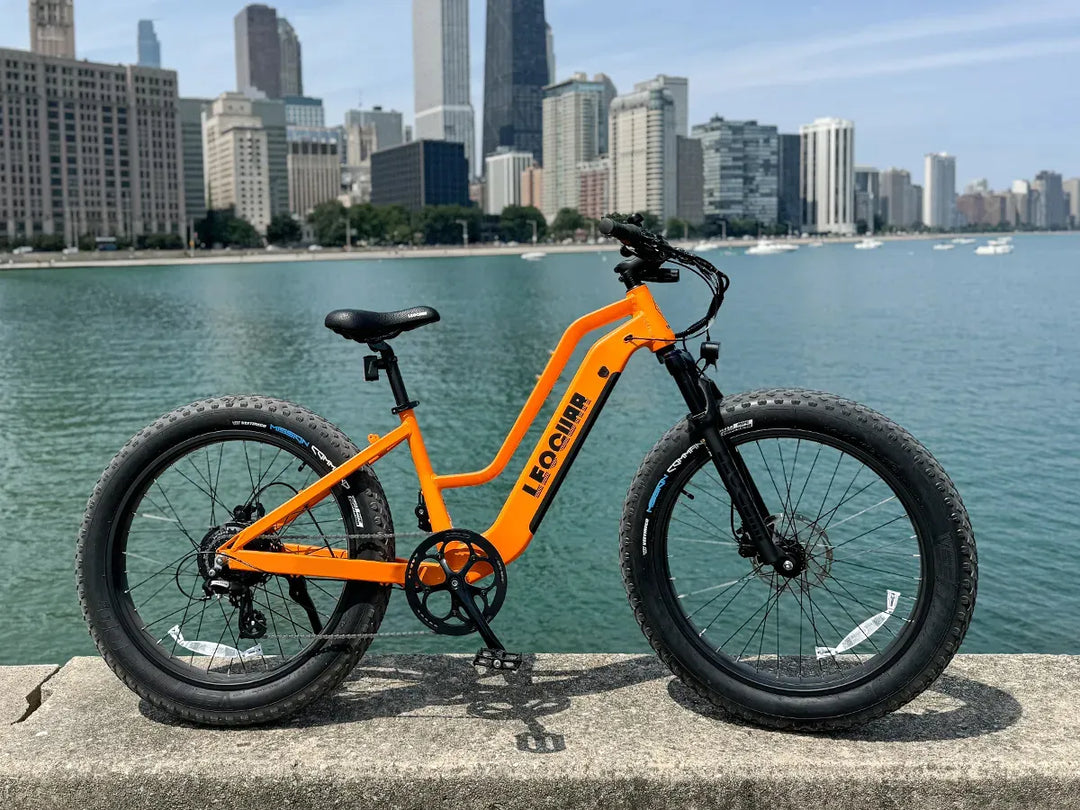 Fathawk  ST Fat Tire Ebike