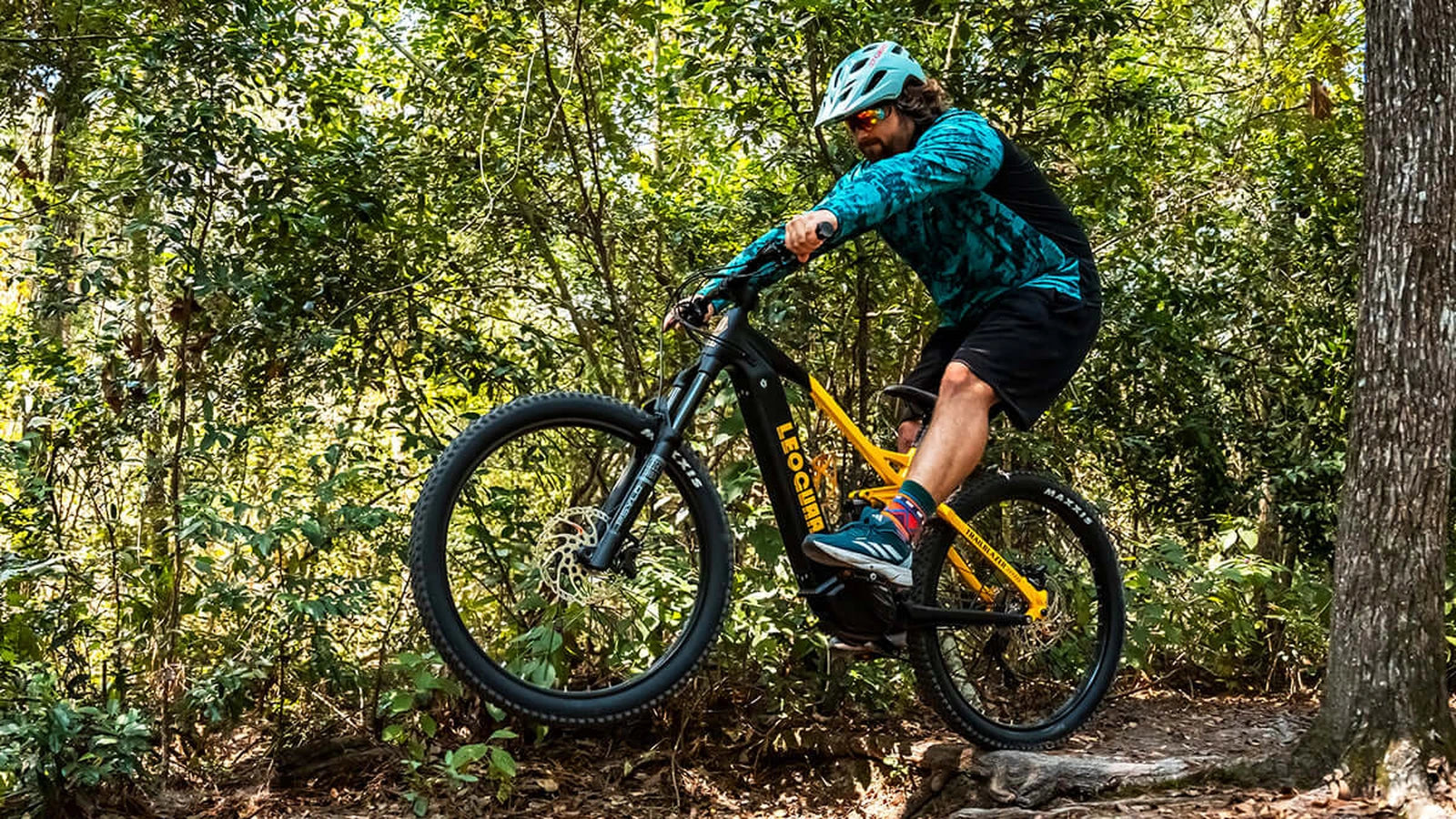 Leoguar Ebikes